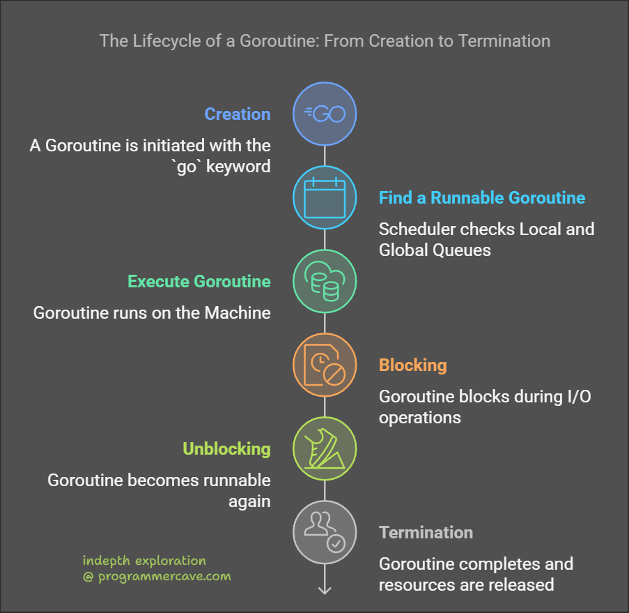 Explain the Lifecycle and Scheduling of a Goroutine?